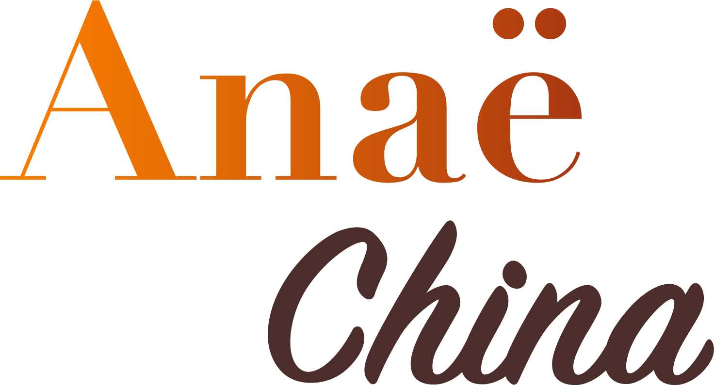 logo anae china trip to china
